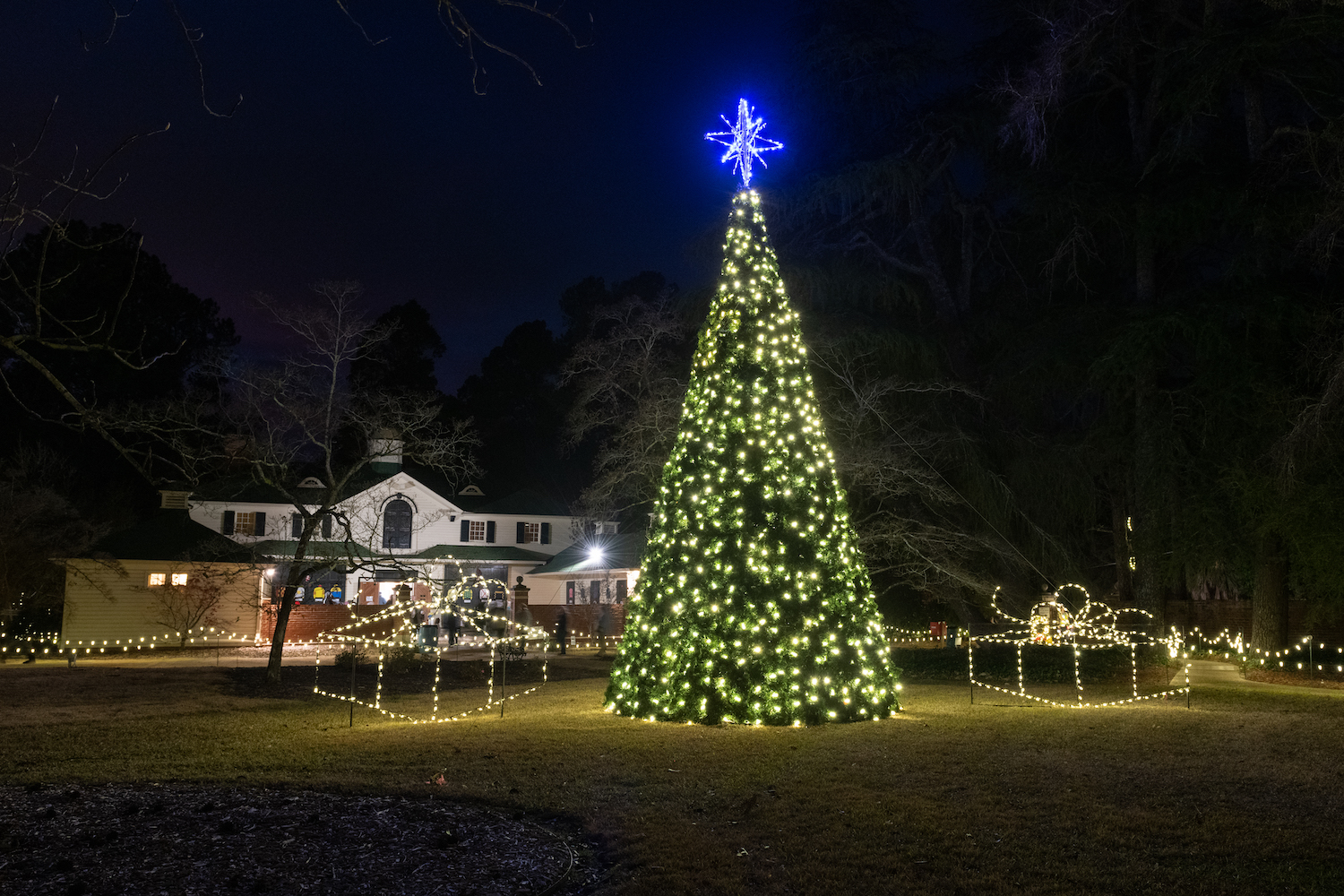 Here are the best things to do in December in Aiken in 2020.